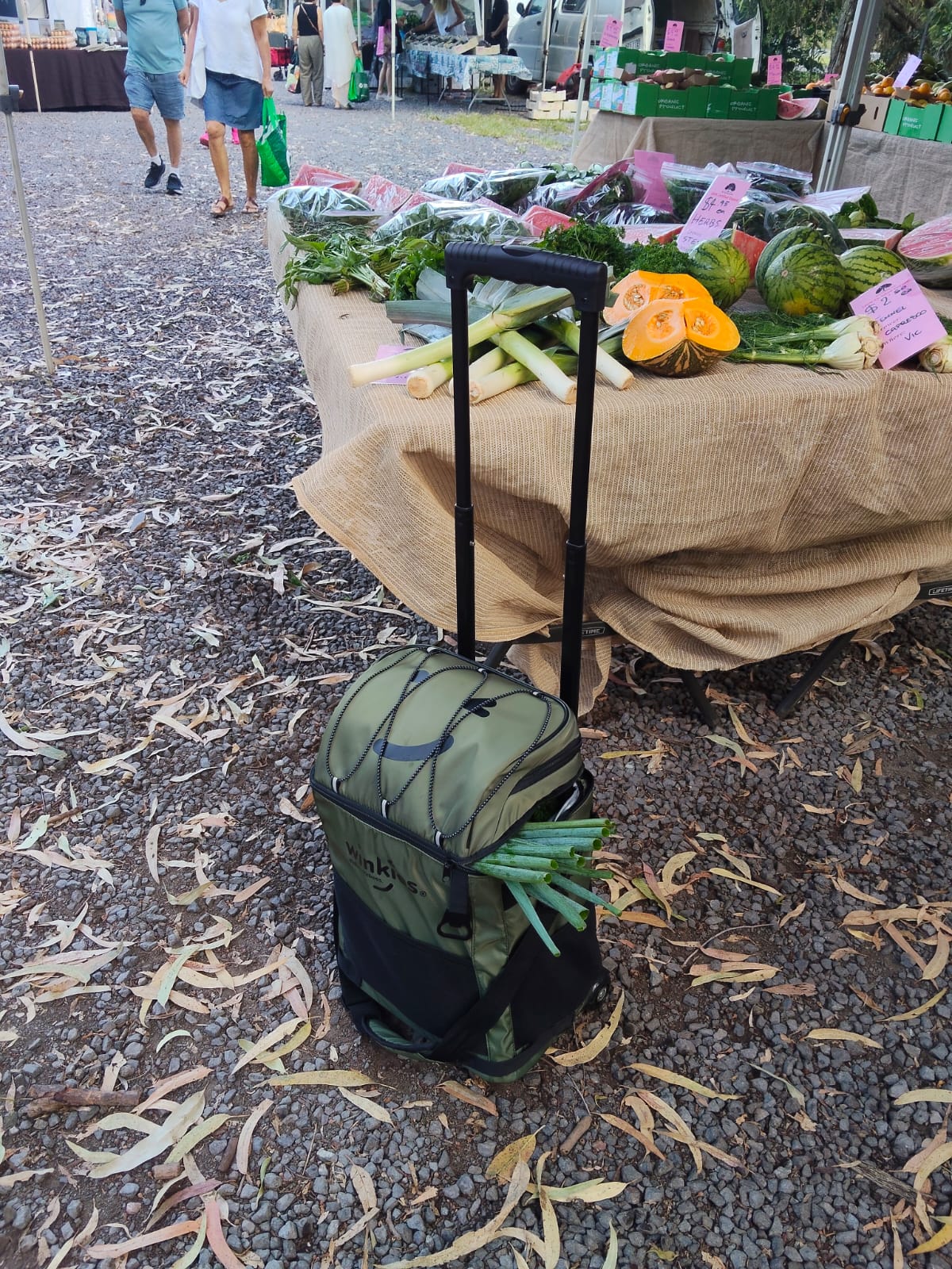 The Best Dog-Friendly Markets in Australia (And Why a Cooler is the One Thing You're Forgetting to Pack)